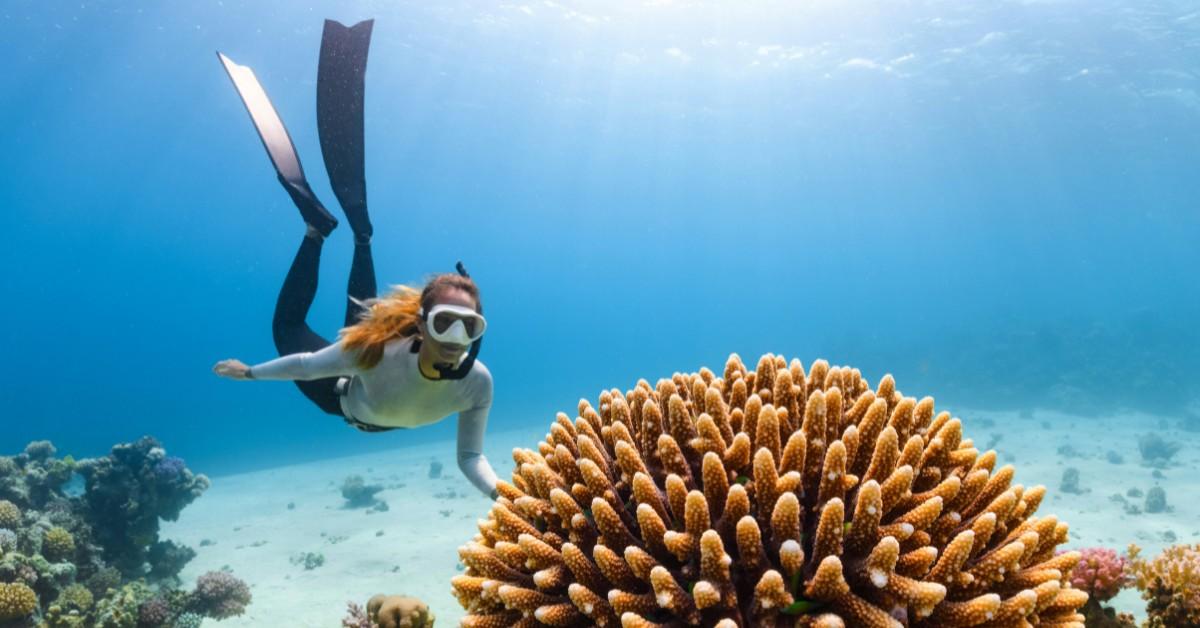 A woman goes SCUBA diving and comes across a coral reef