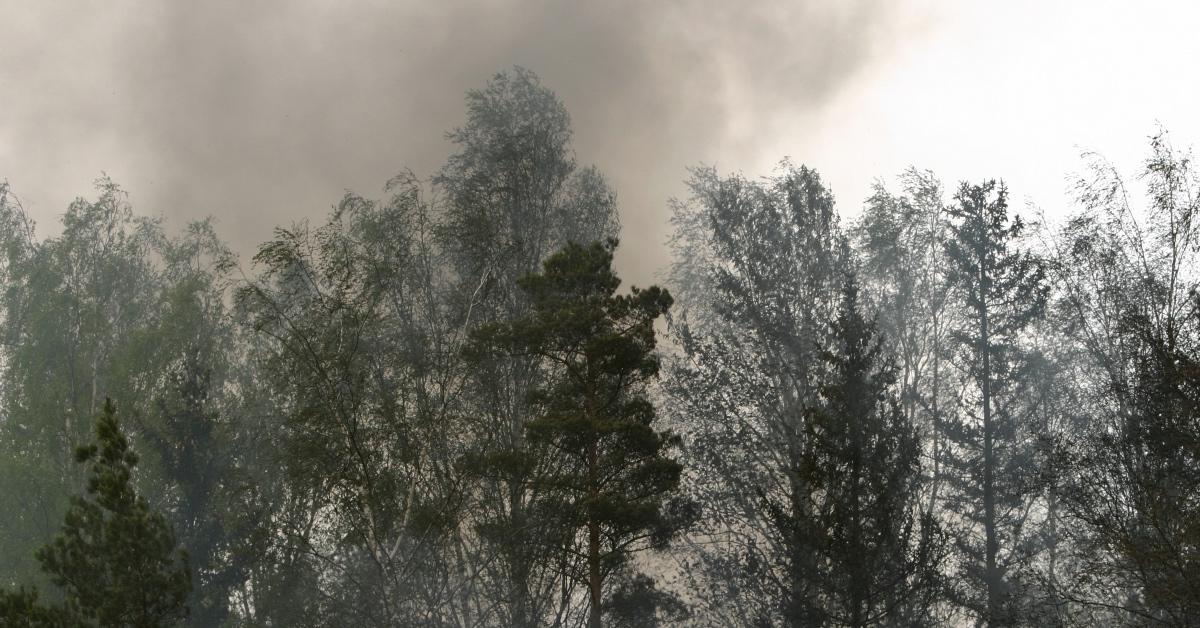 Smoke hangs above a forest during a forest fire - Stock Image.