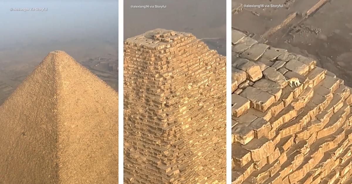 Canine on Pyramid in Egypt in Viral Video Leaves Internet Confused