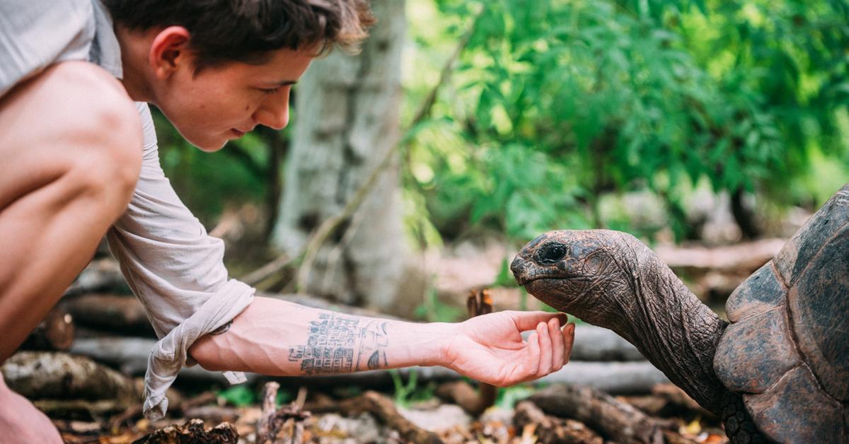 The Most attention-grabbing Turtle Rescues Nationwide