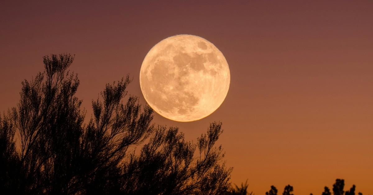 Why Is the Moon So Enormous Tonight?